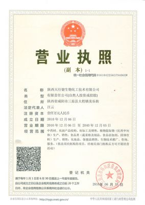 Business License(Chinese)
