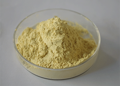 白芸豆提取物
