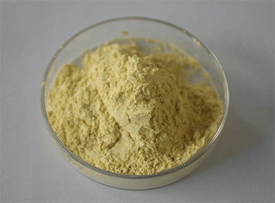 燕麦提取物
