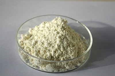 大蒜粉