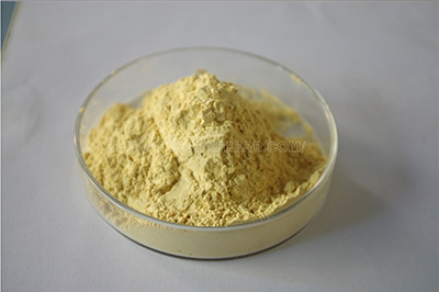 绞股蓝提取物