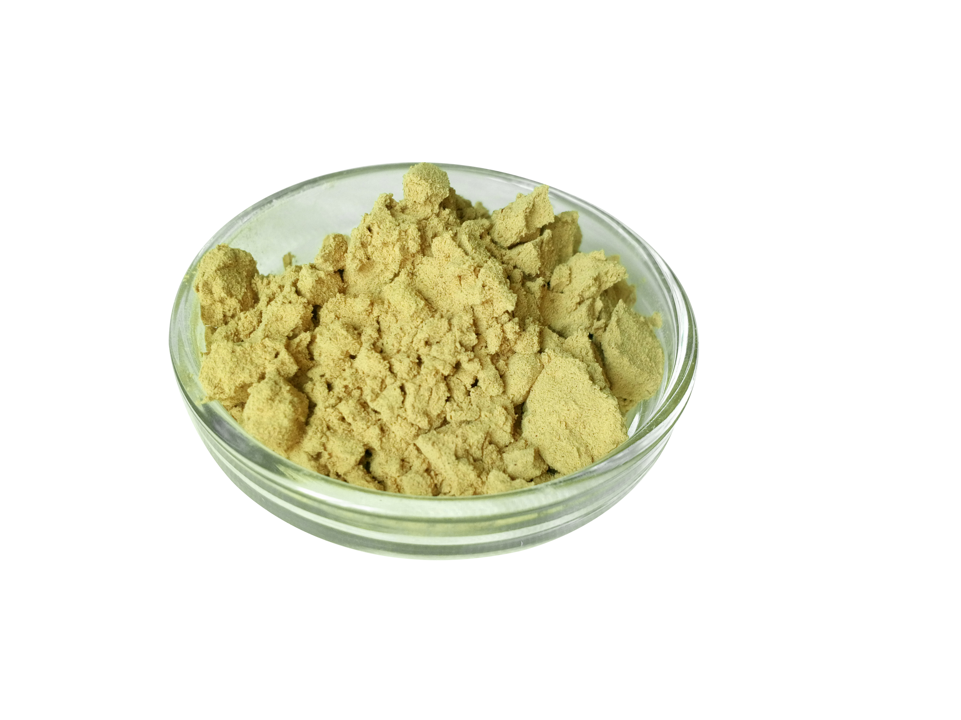 伸筋草提取物