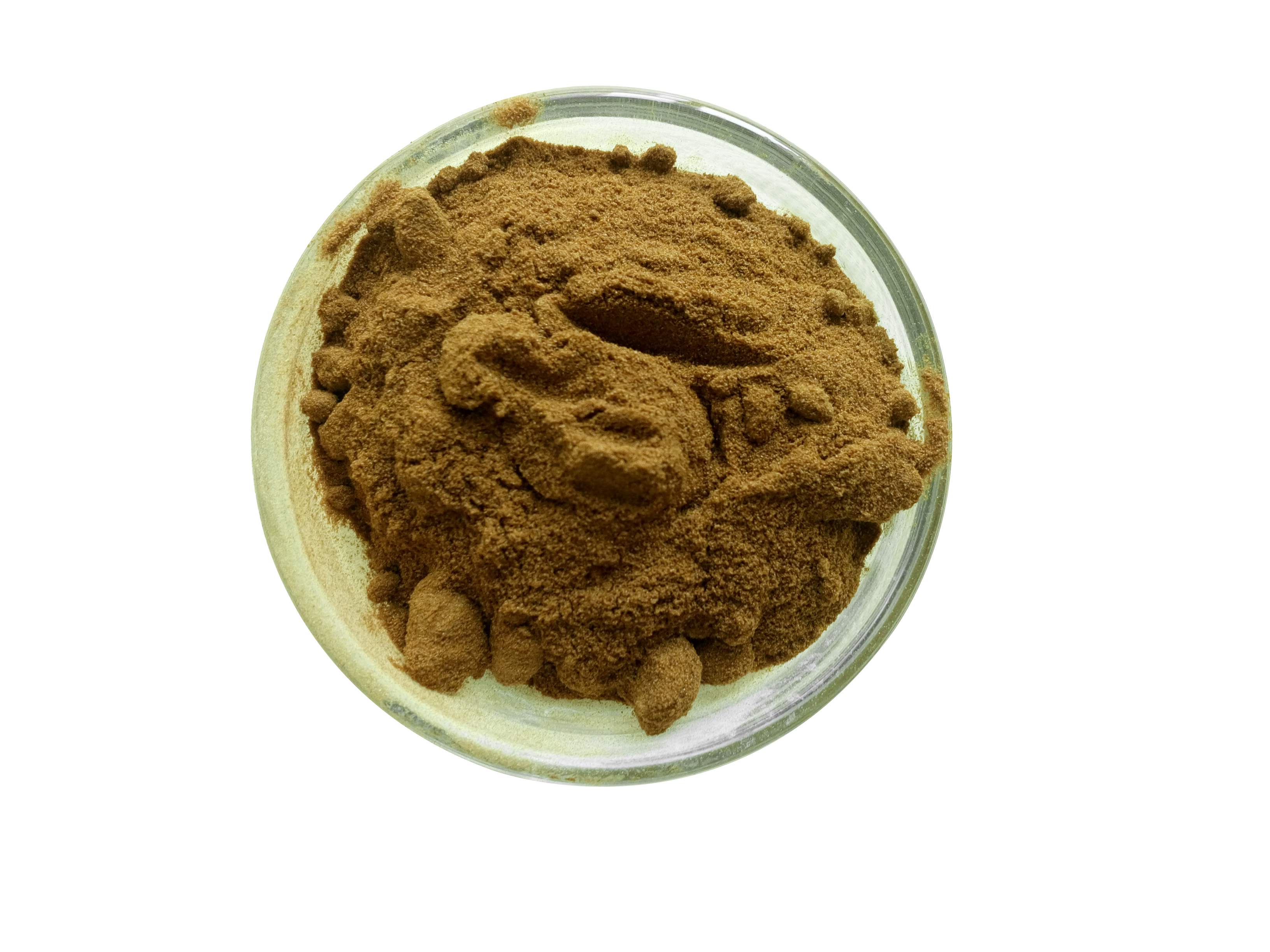 益智仁提取物