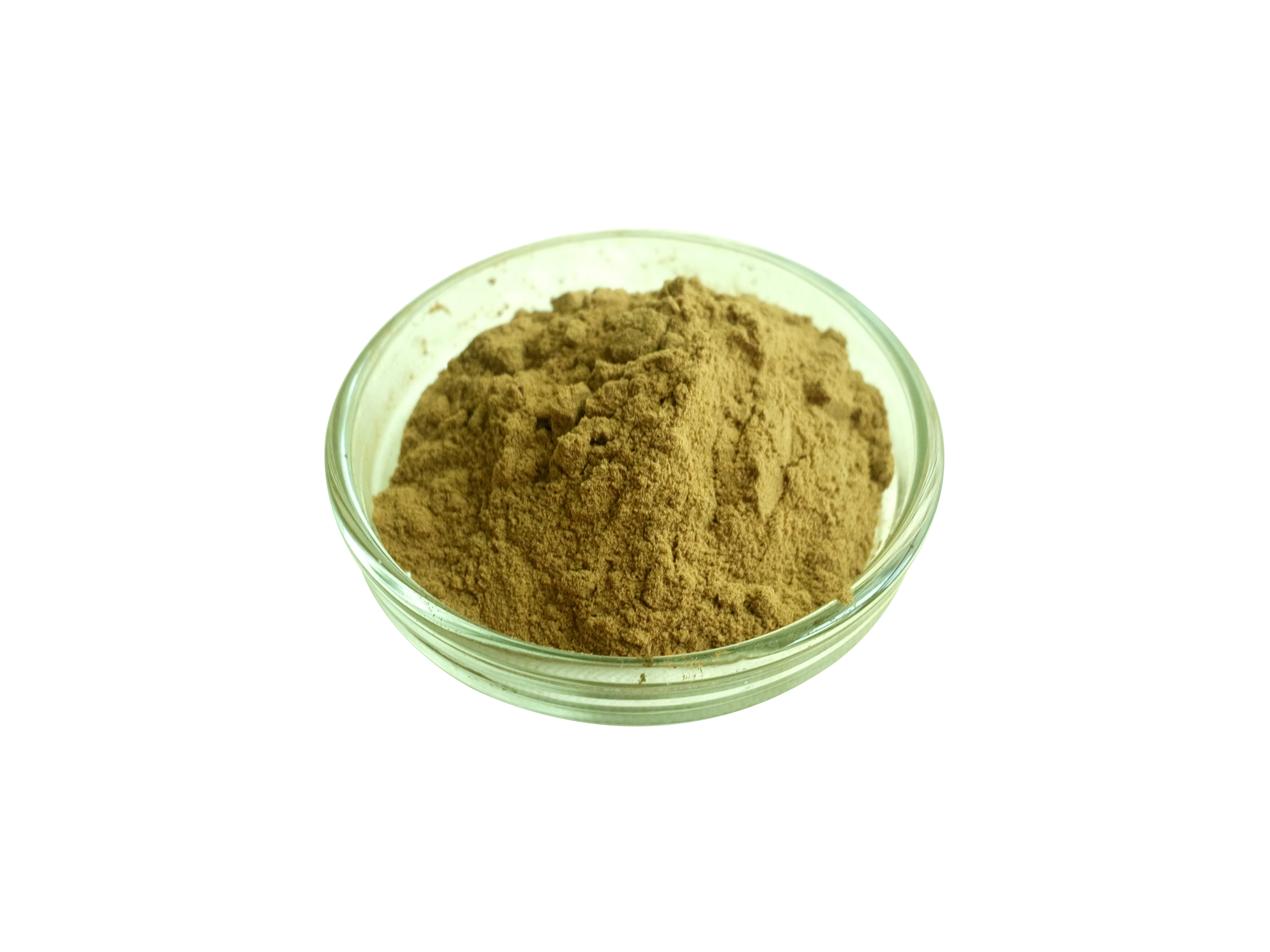 山茶花提取物