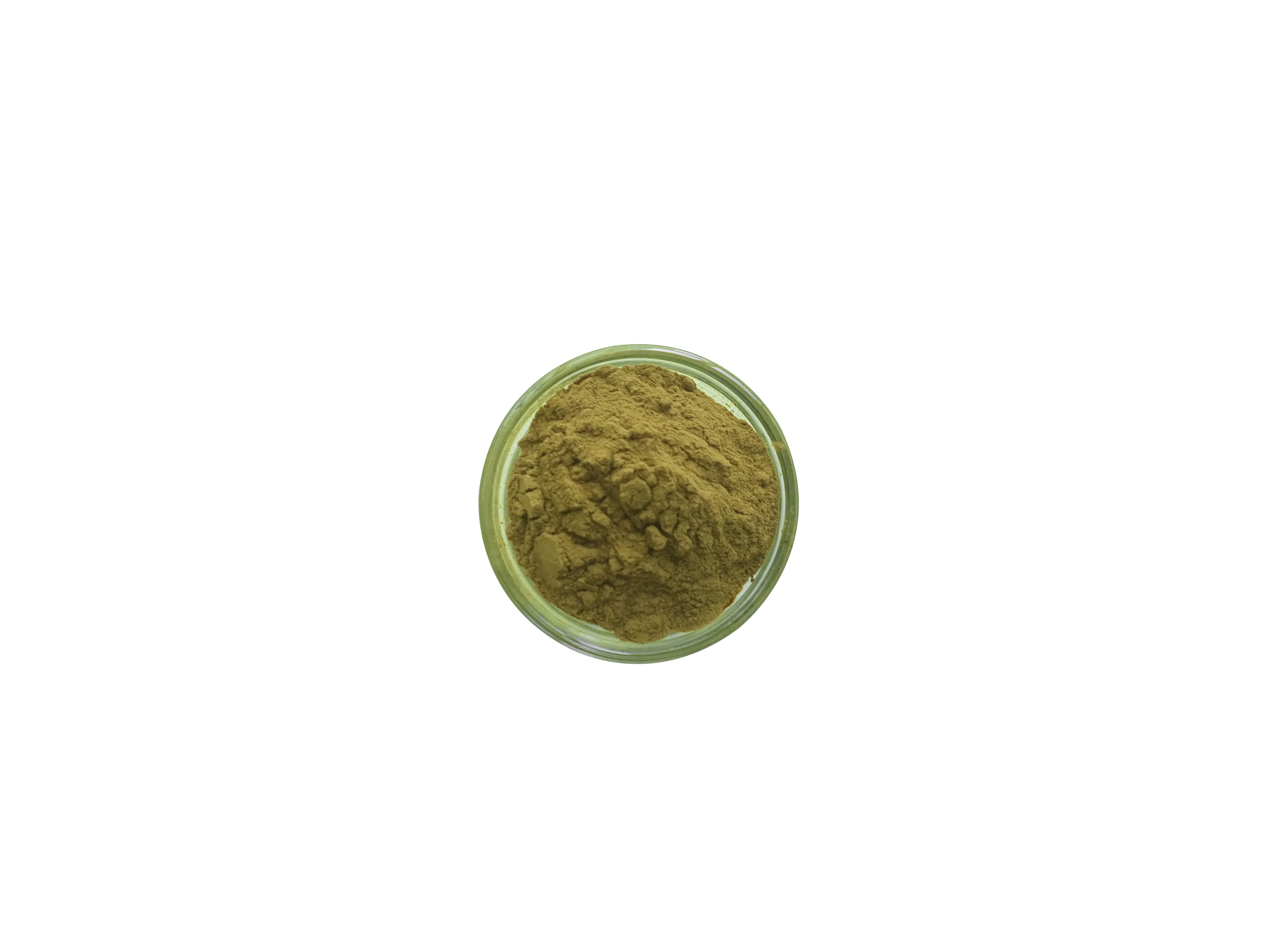白桦茸蘑菇提取
