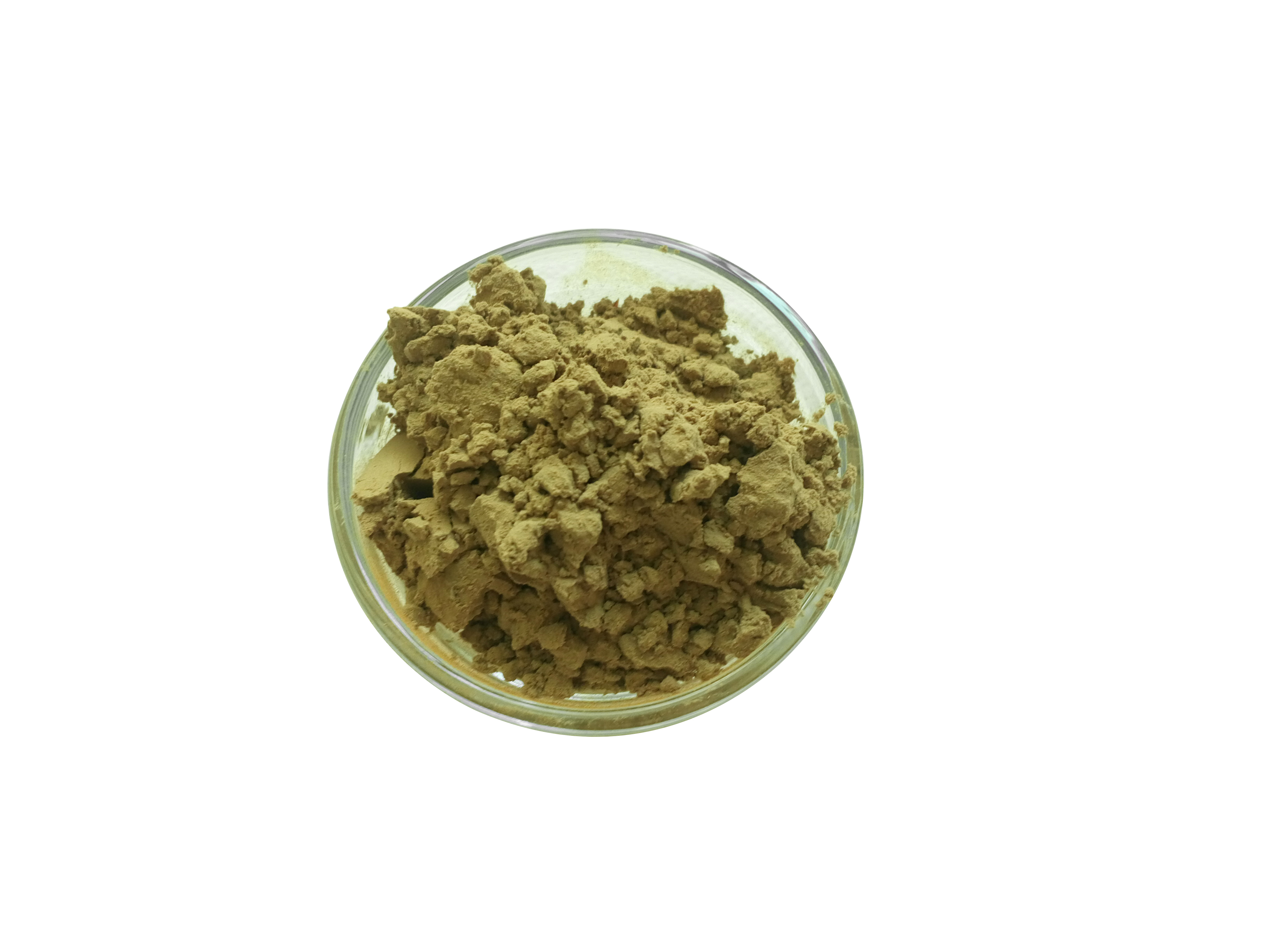 马鞭草提取物