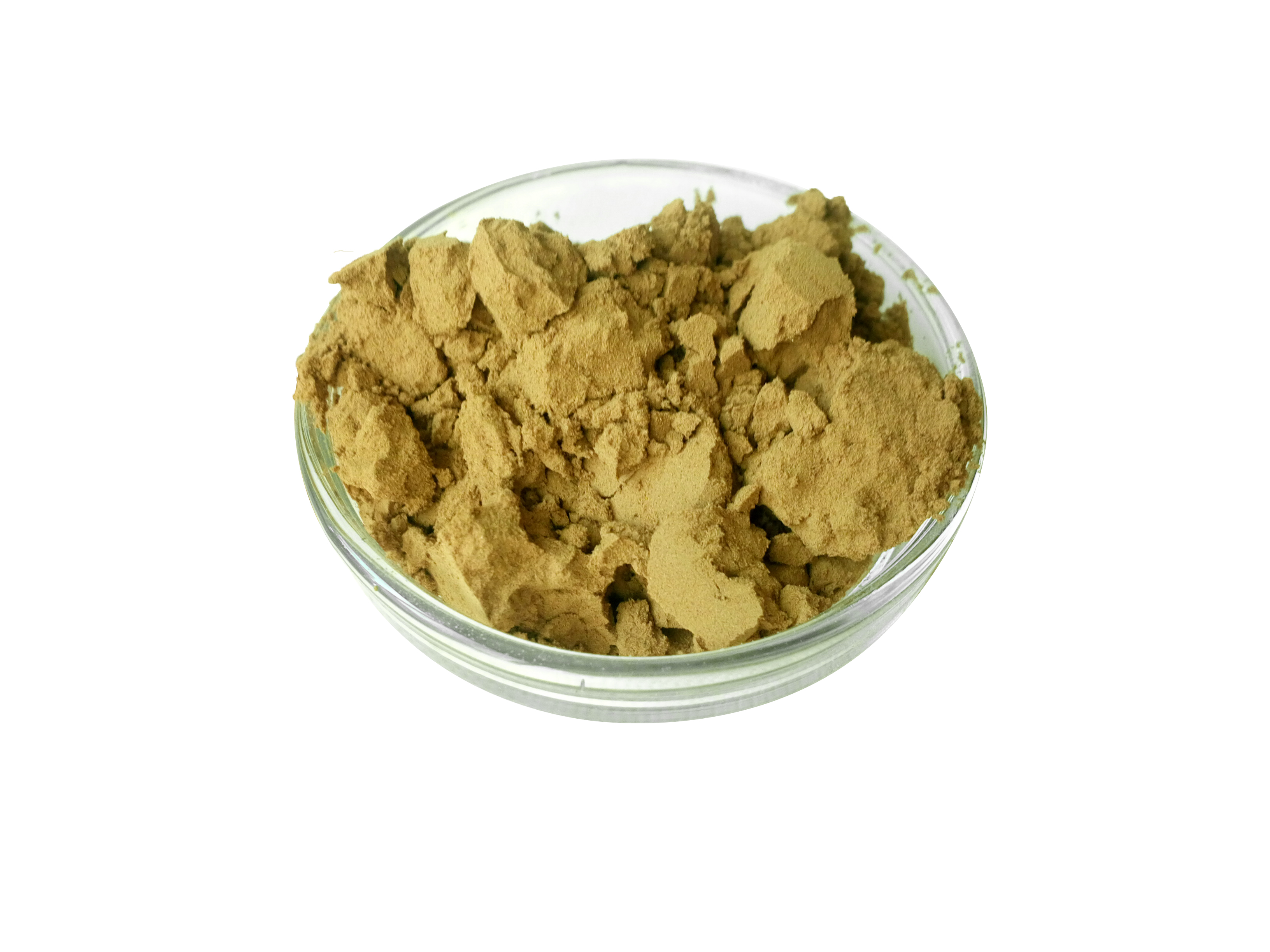 板蓝根提取物