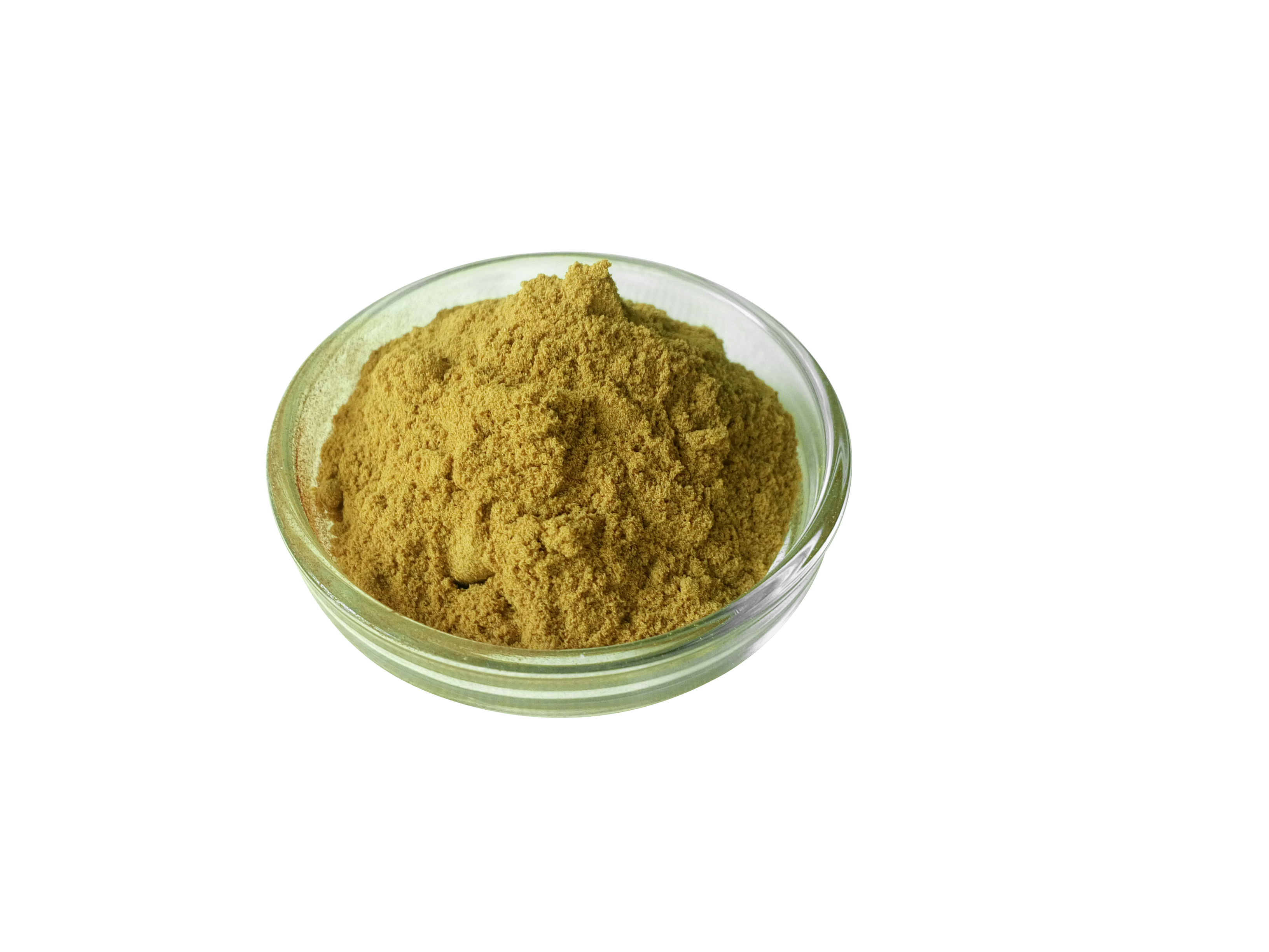 核桃仁提取物 核桃粉