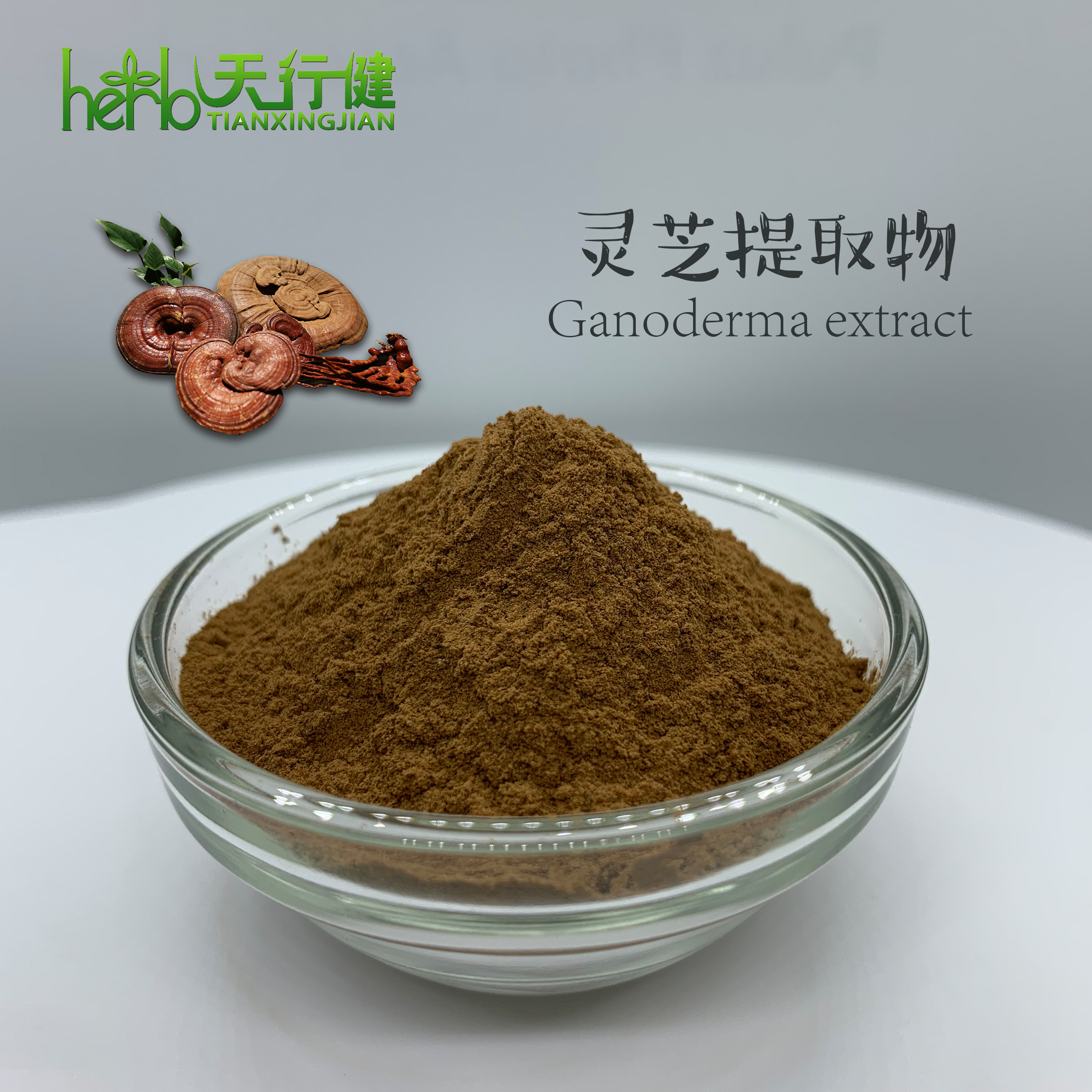 灵芝提取物