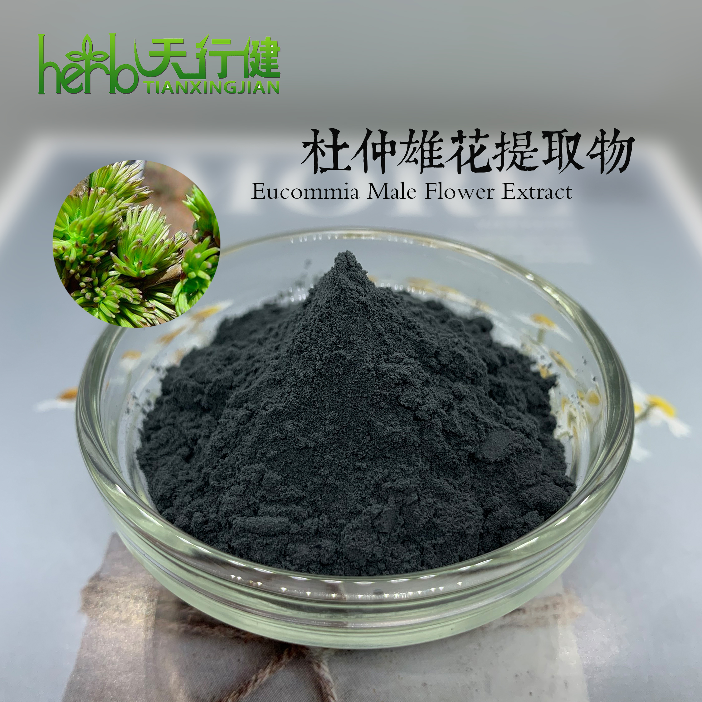 杜仲雄花提取物