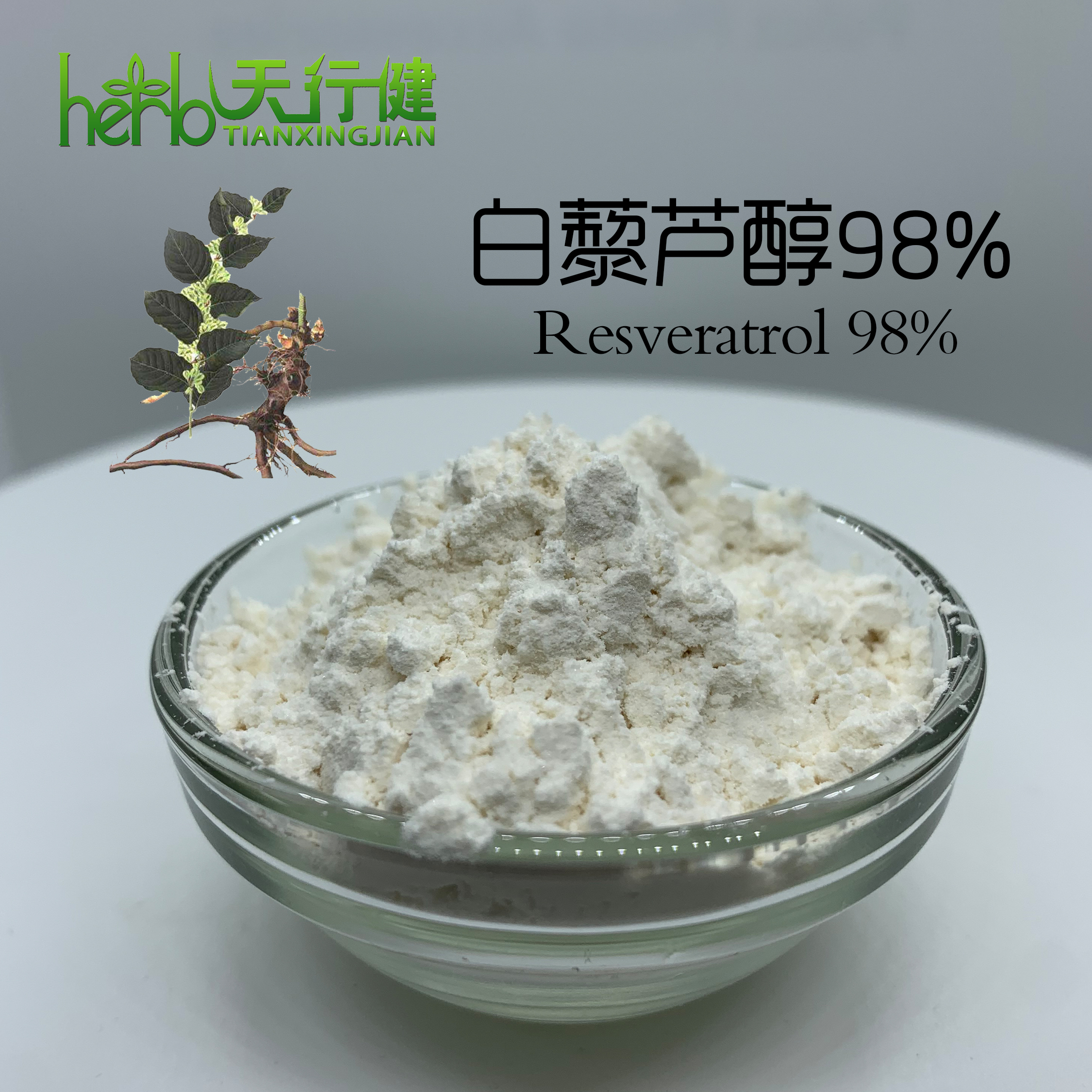 虎杖提取物 白藜芦醇98%
