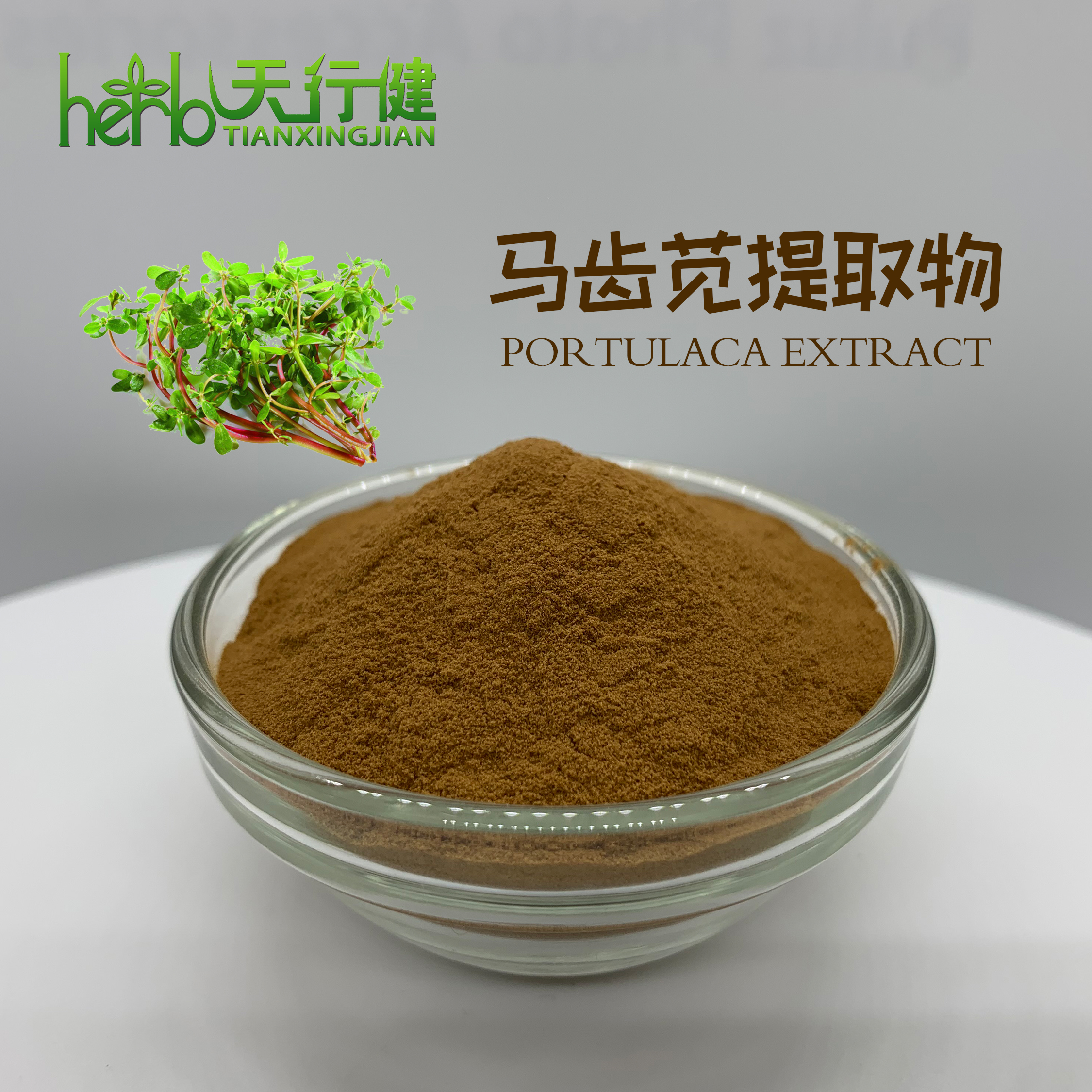 马齿苋提取物