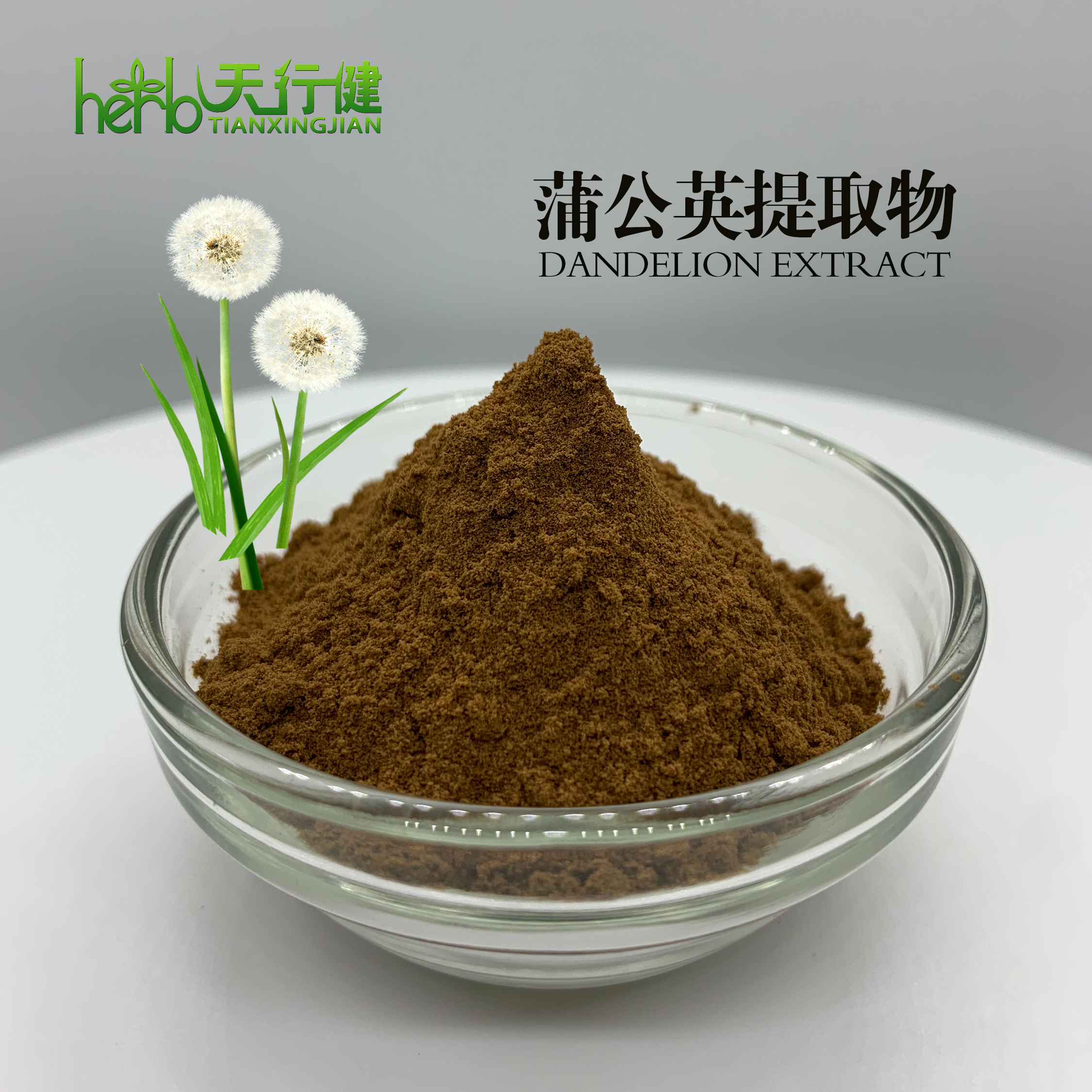 蒲公英提取物