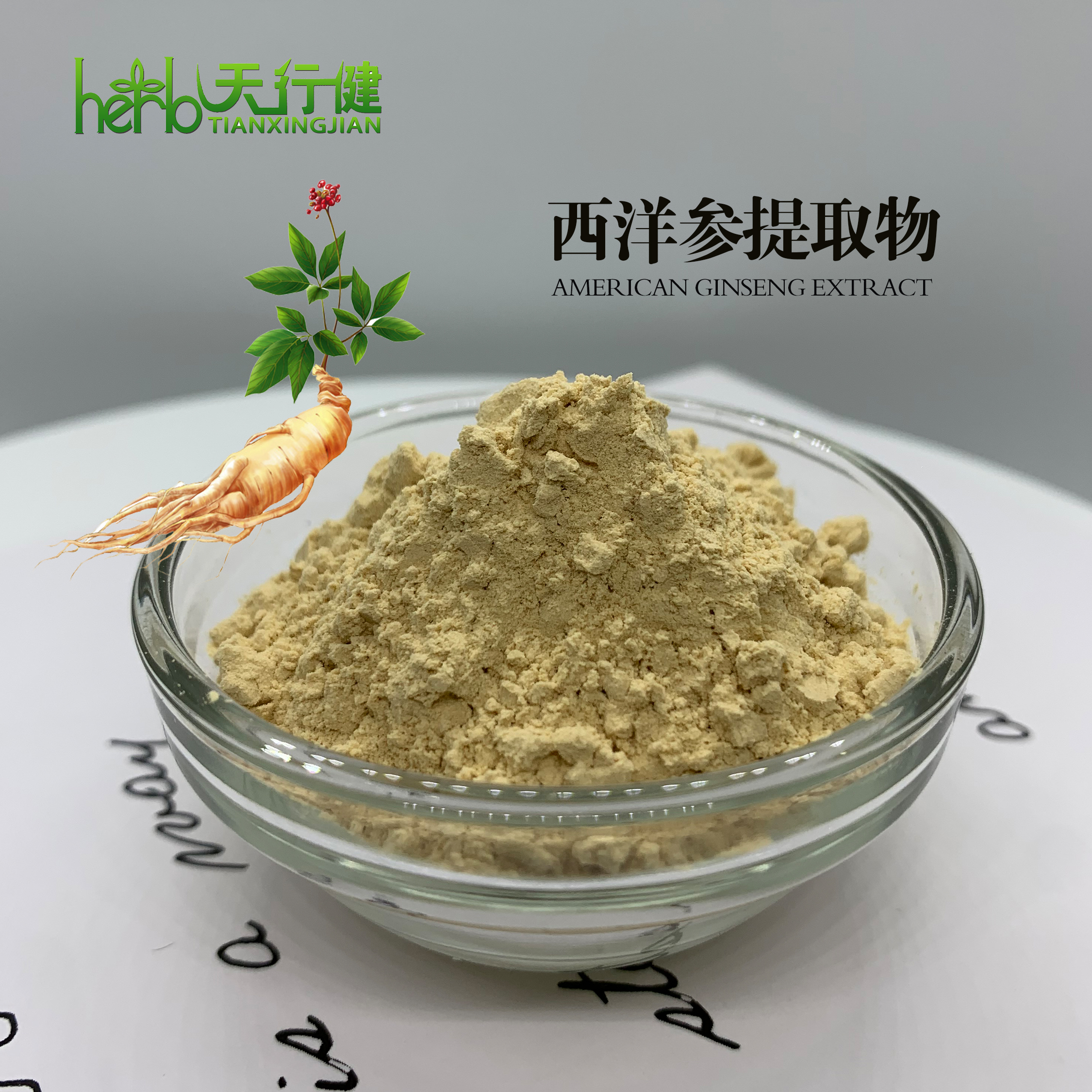 西洋参提取物