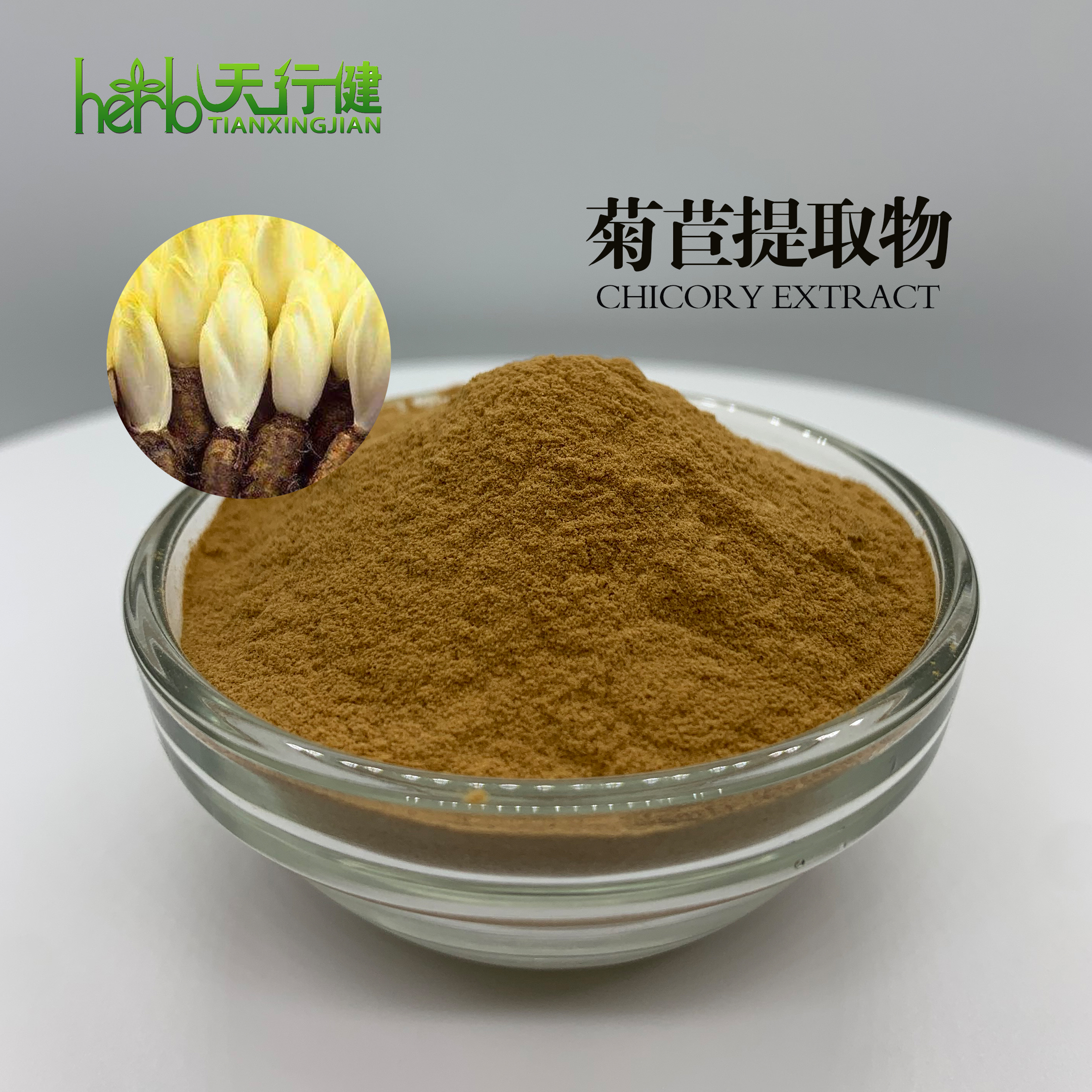 菊苣提取物