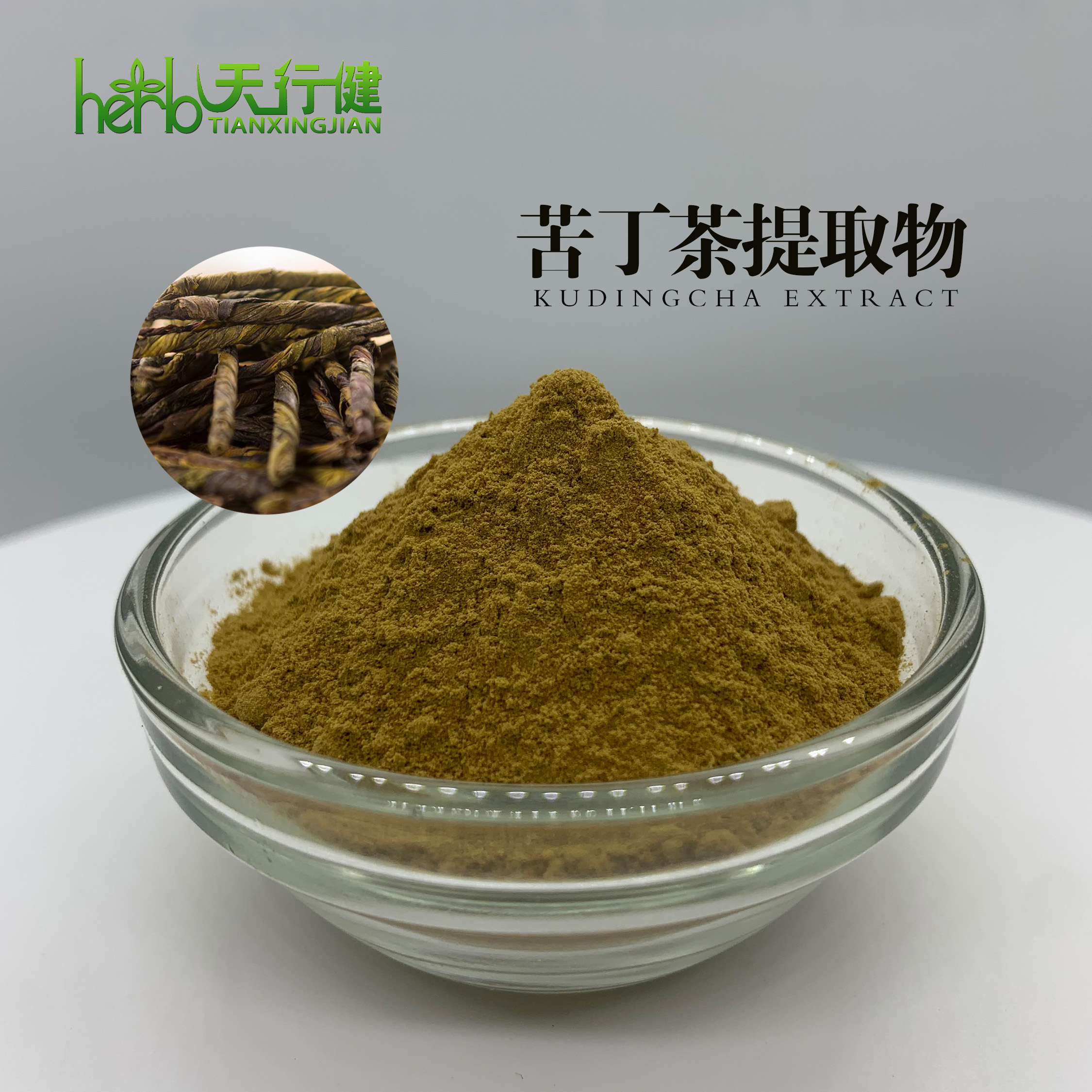 苦丁茶提取物