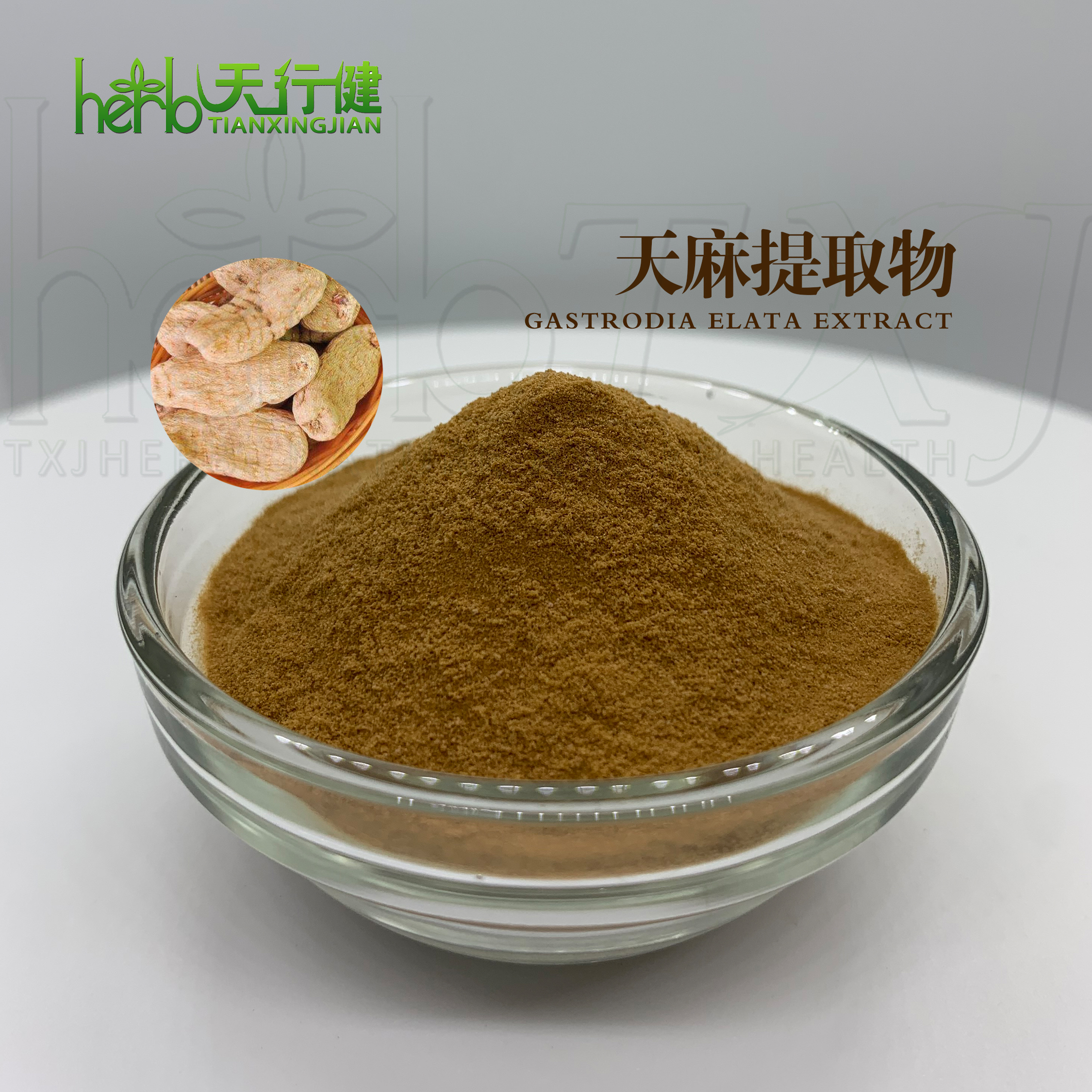 天麻提取物