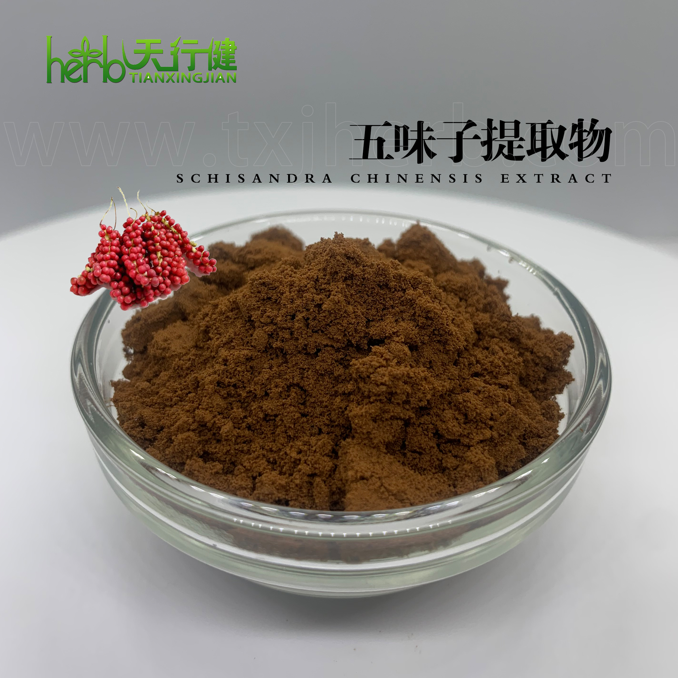 五味子提取物