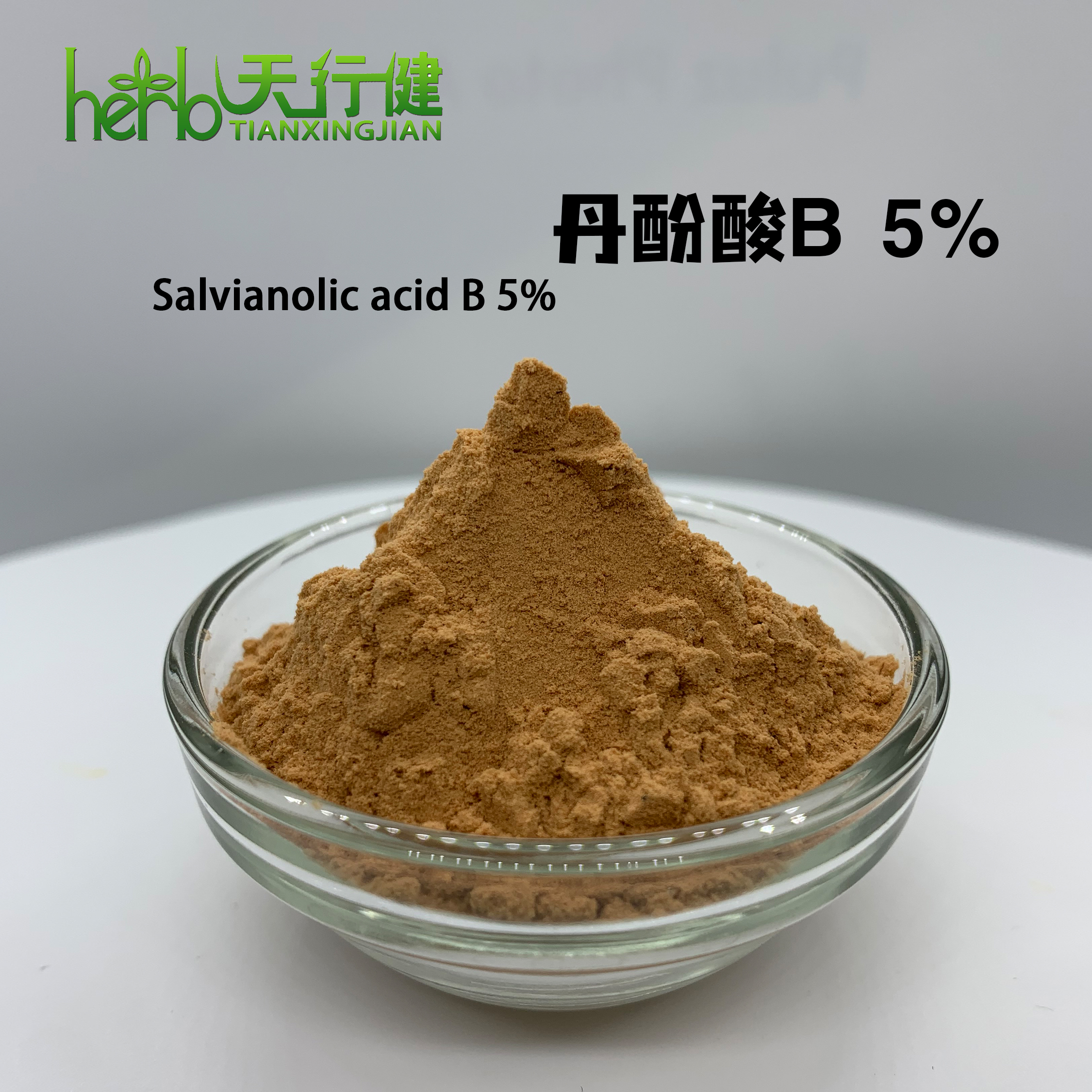 丹参提取物 丹酚酸B5%