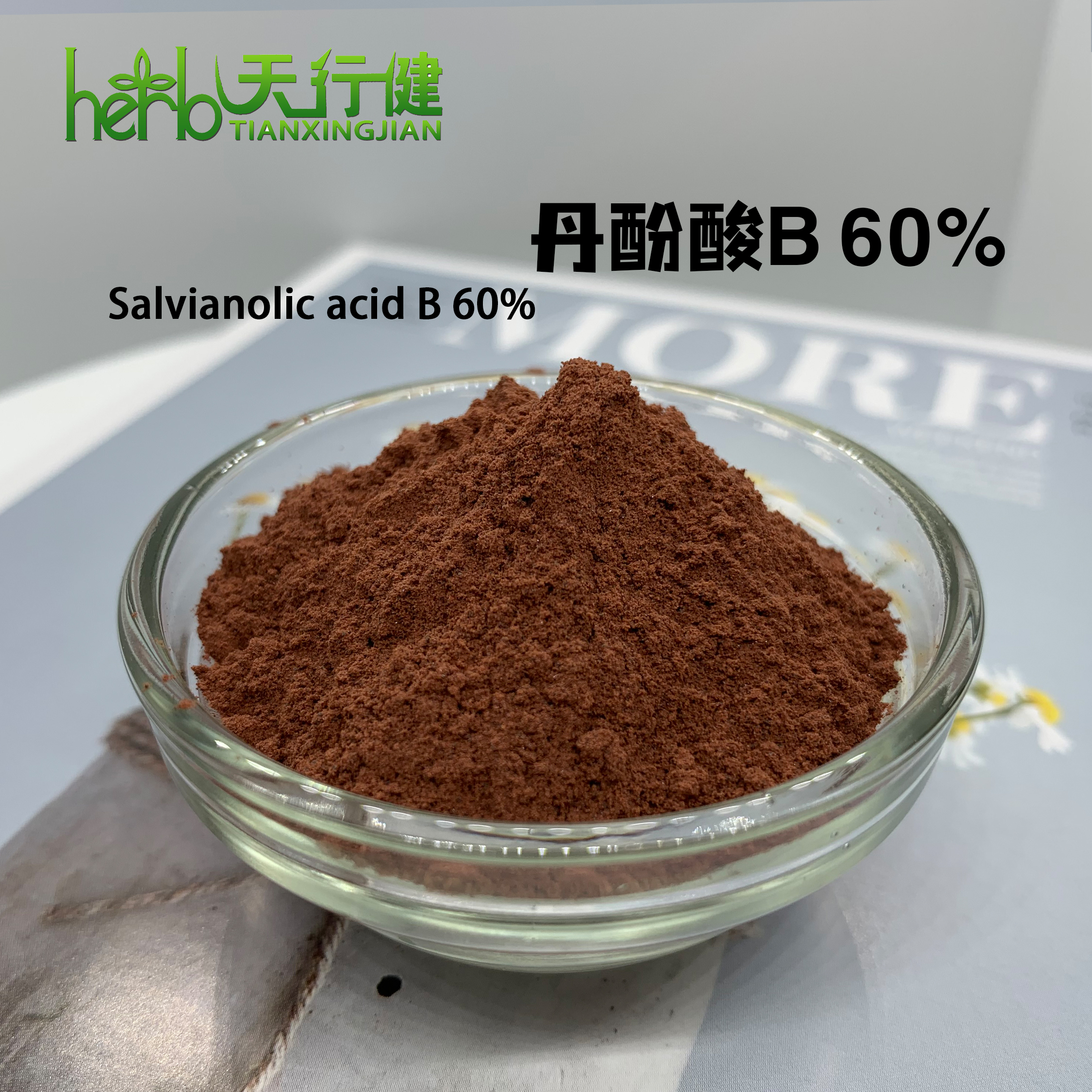 丹参提取物 丹酚酸B60%