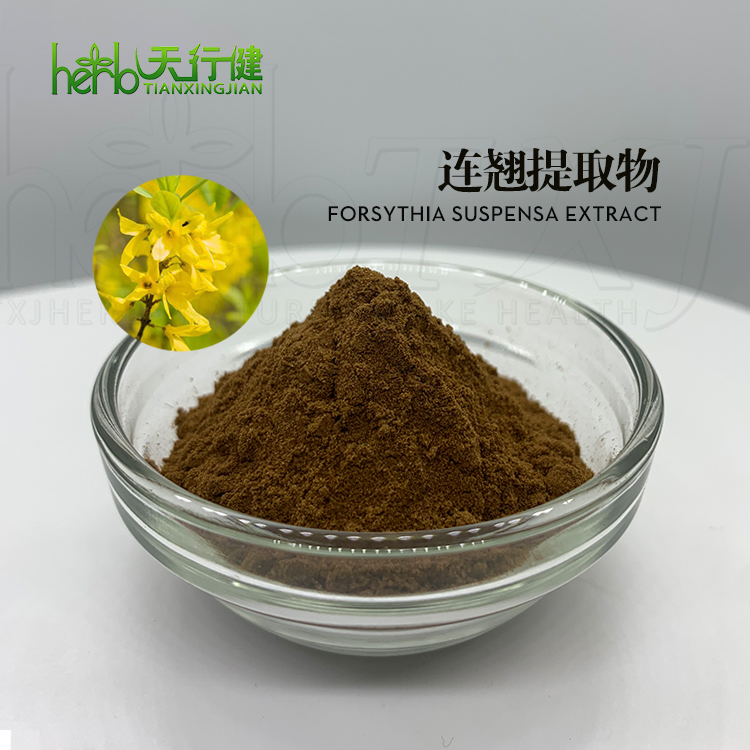 贯叶连翘提取物