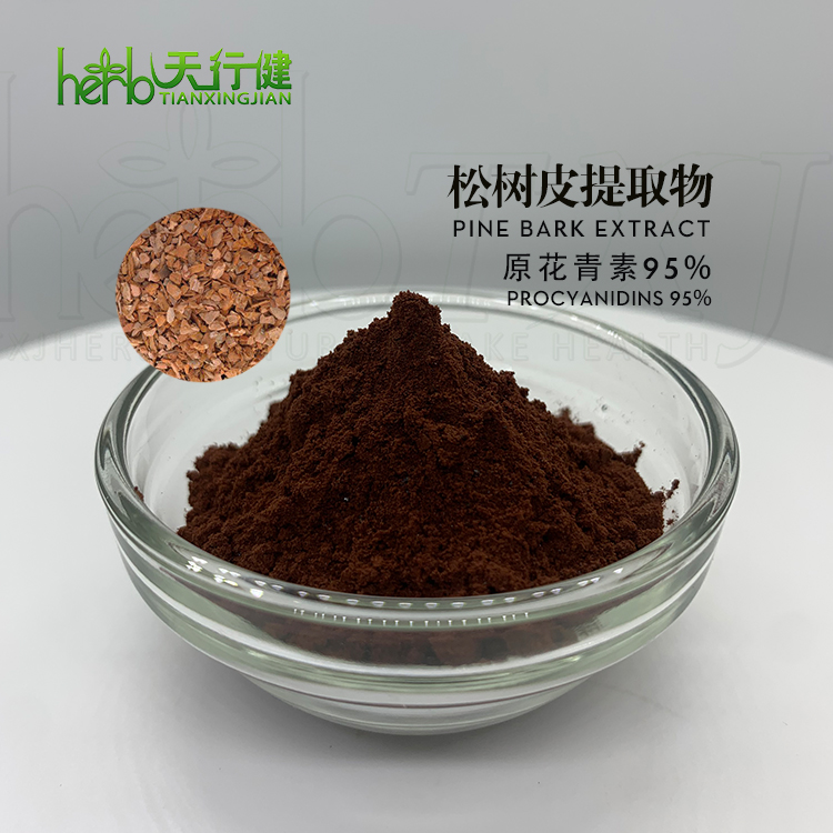 松树皮提取物（法国海岸松来源）