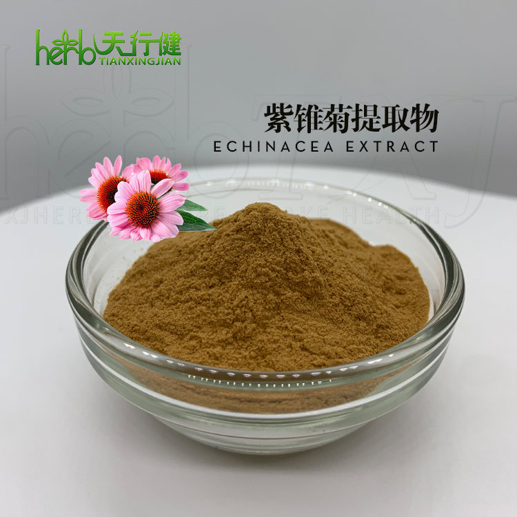 紫锥菊提取物