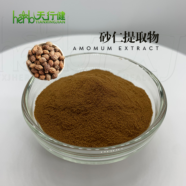 砂仁提取物