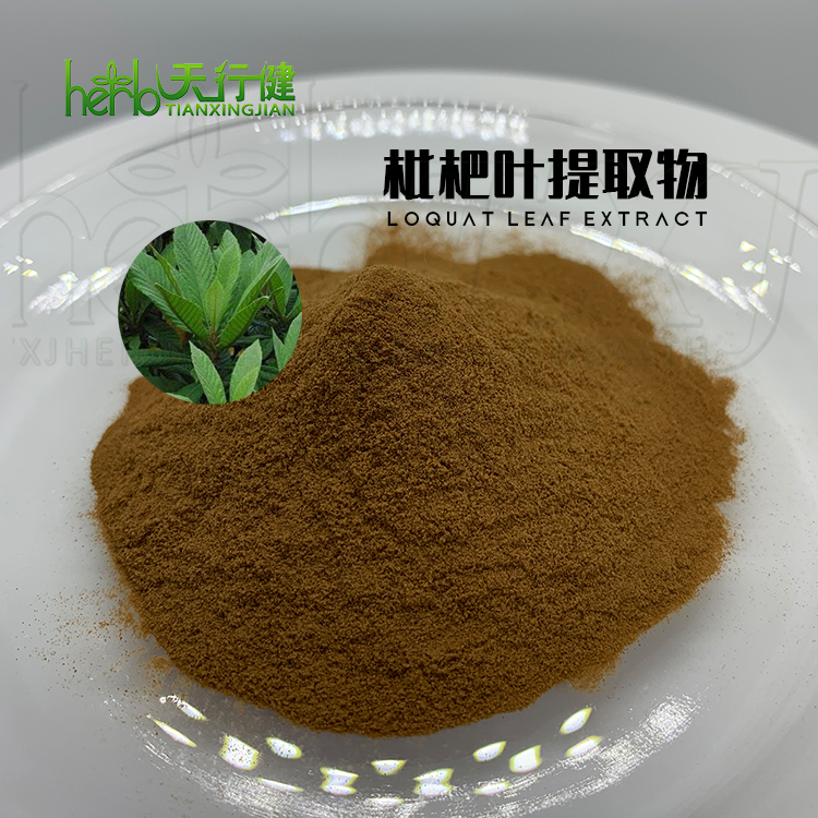 枇杷叶提取物