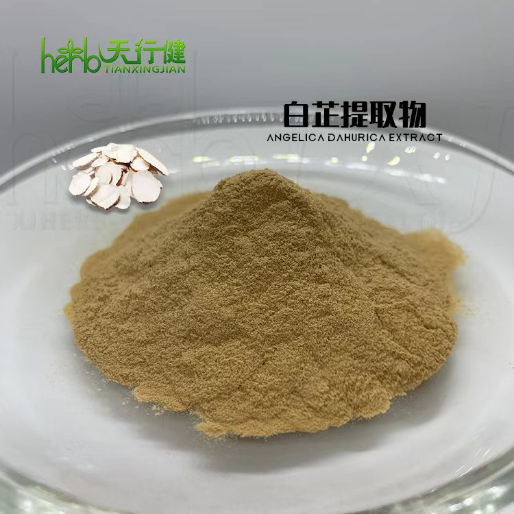 白芷提取物