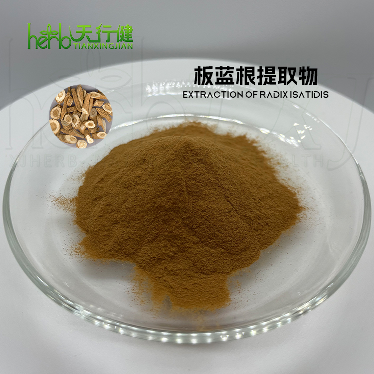 板蓝根提取物