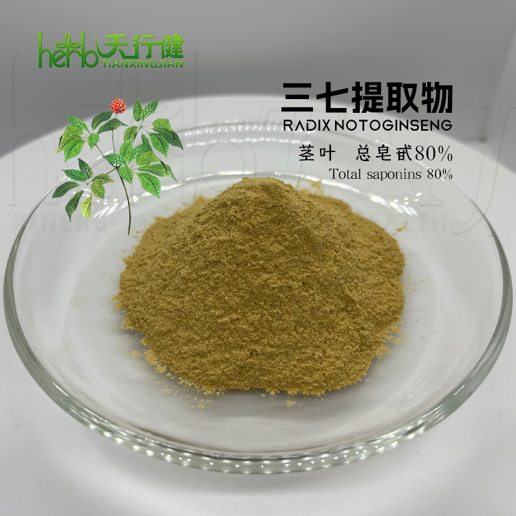 三七叶提取物