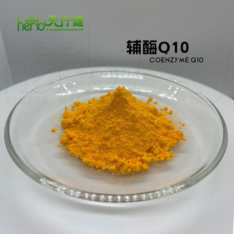 辅酶Q10