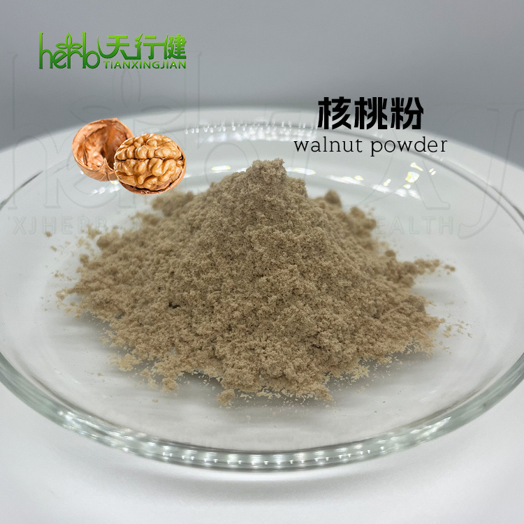 核桃仁提取物 核桃粉