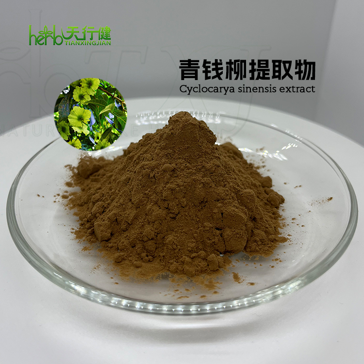 青钱柳提取物