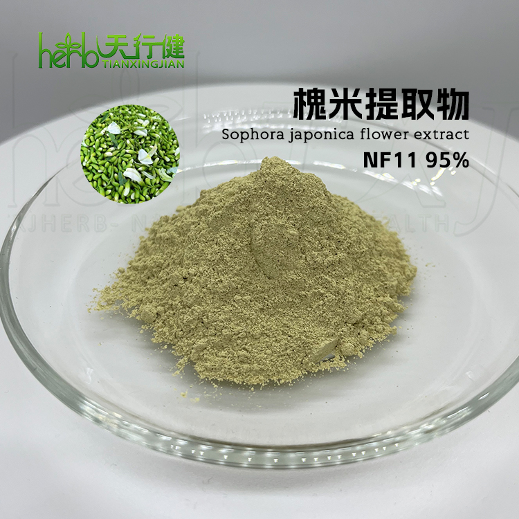 槐米提取物 芦丁NF-1195%
