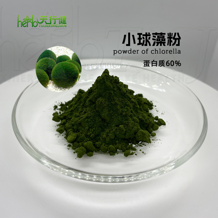 蛋白核小球藻