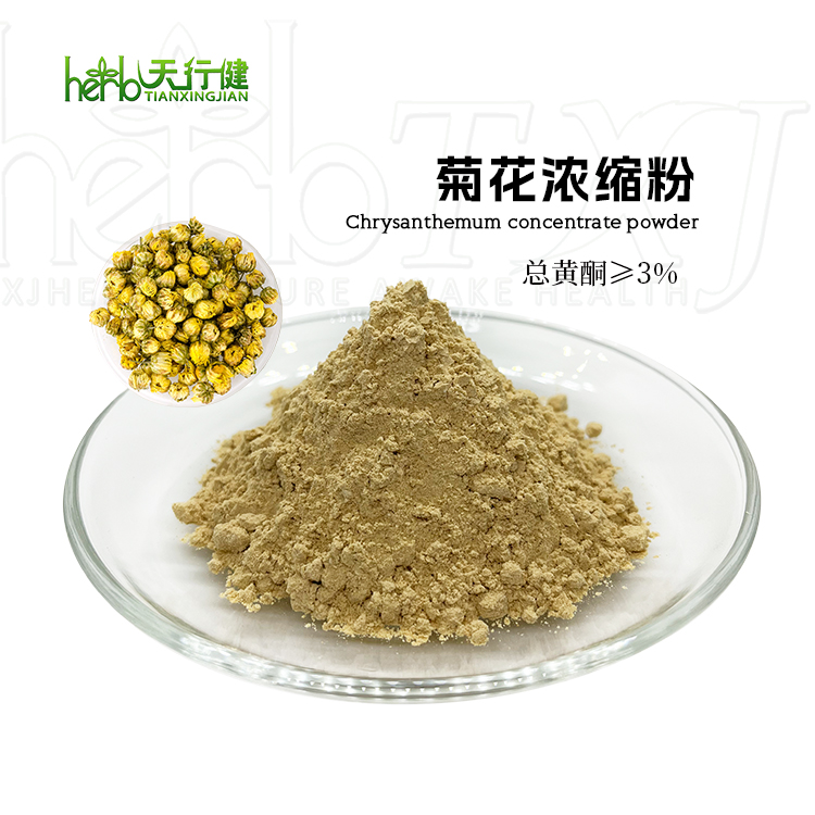 菊花浓缩粉