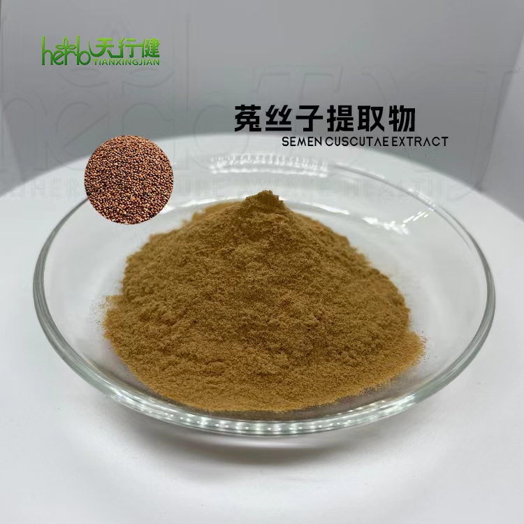菟丝子提取物