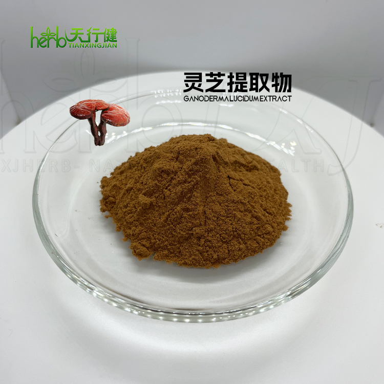 灵芝提取物 