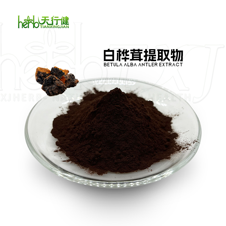 白桦茸提取物