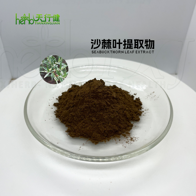 沙棘叶提取物