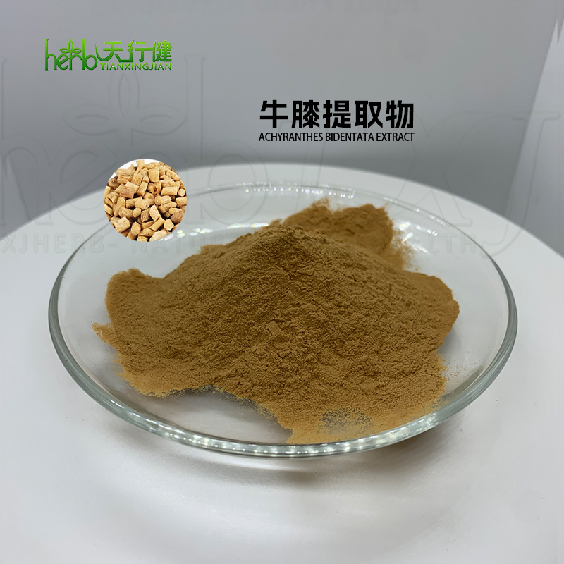 牛膝提取物