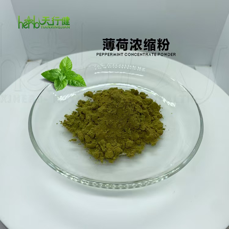 薄荷浓缩粉