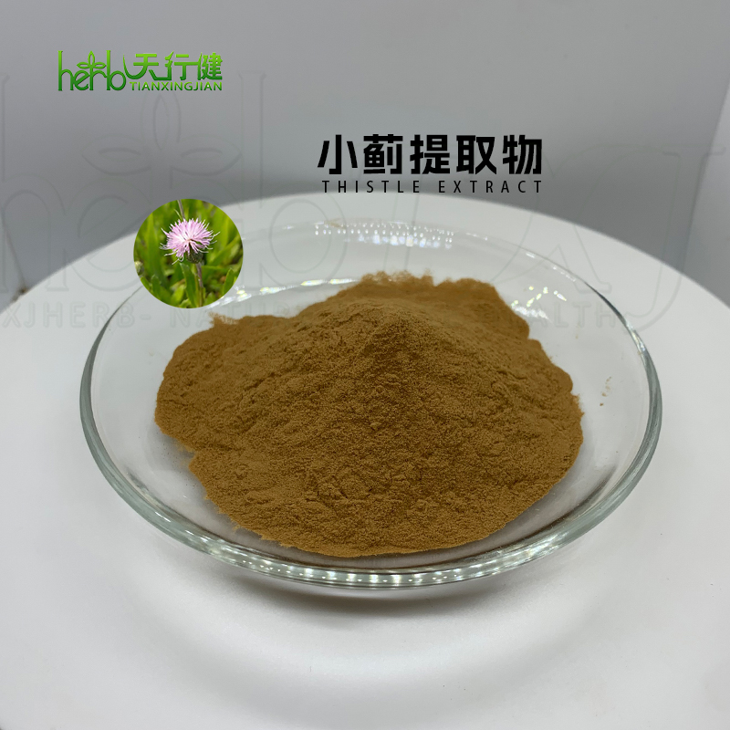 小蓟提取物