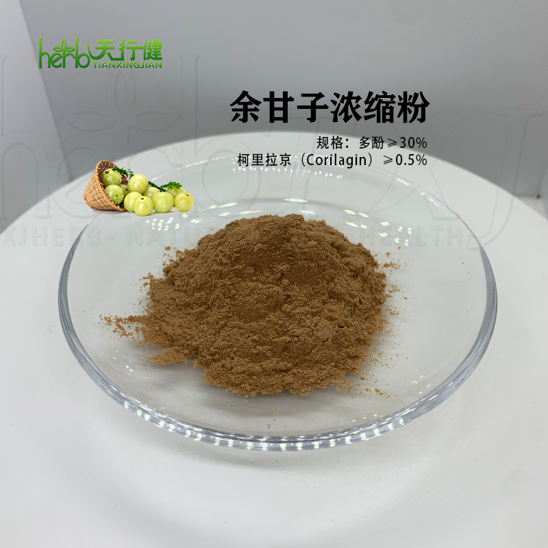 余甘子浓缩粉