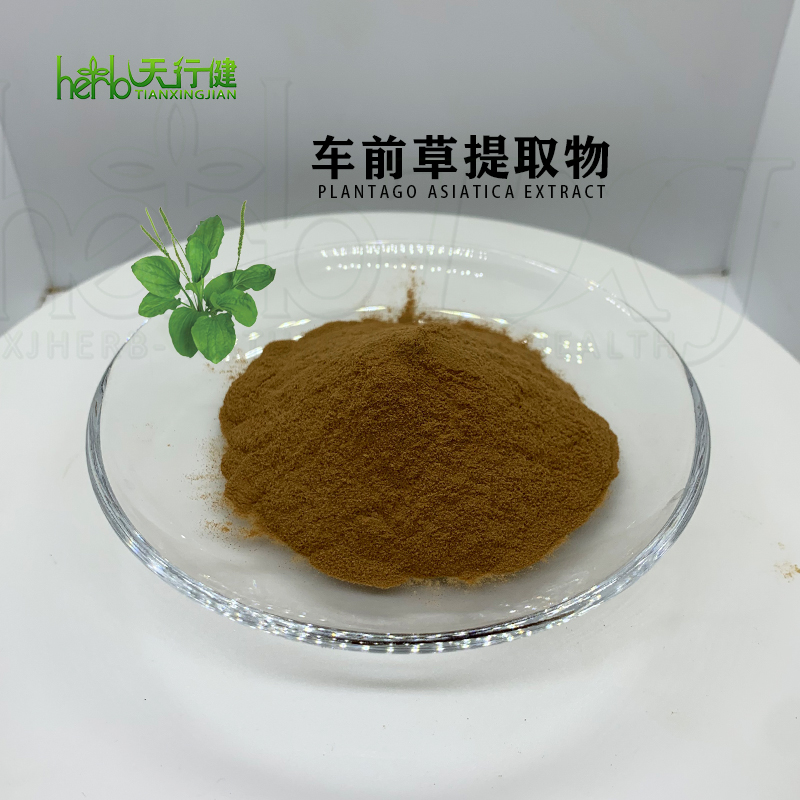 车前草提取物