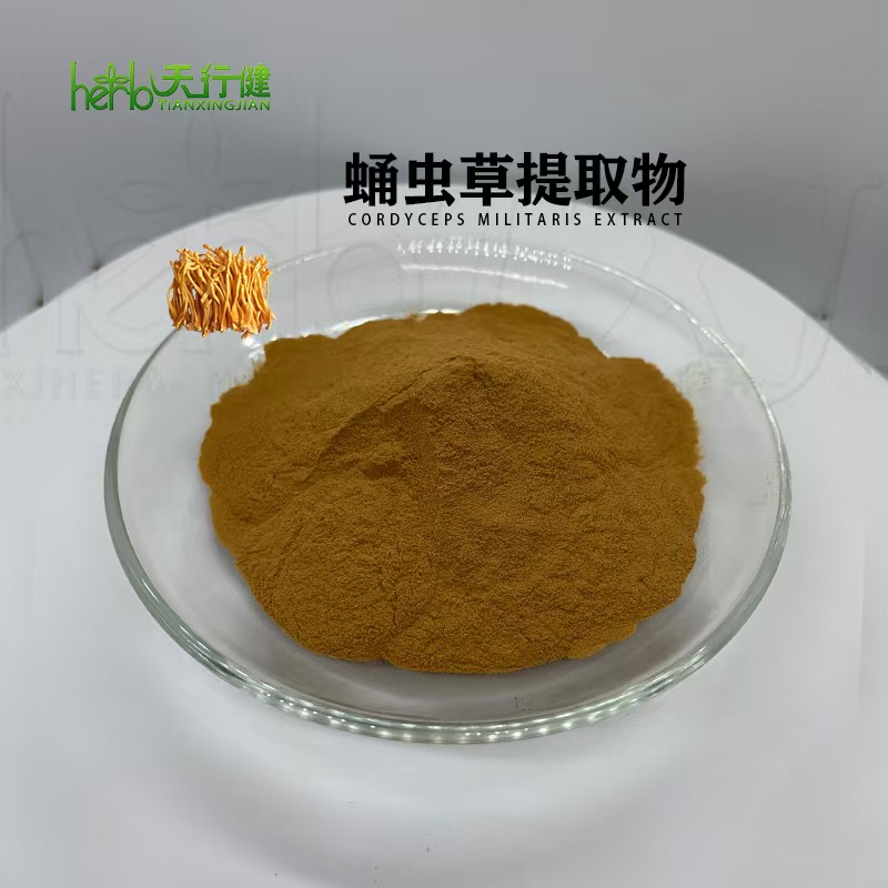 蛹虫草提取物