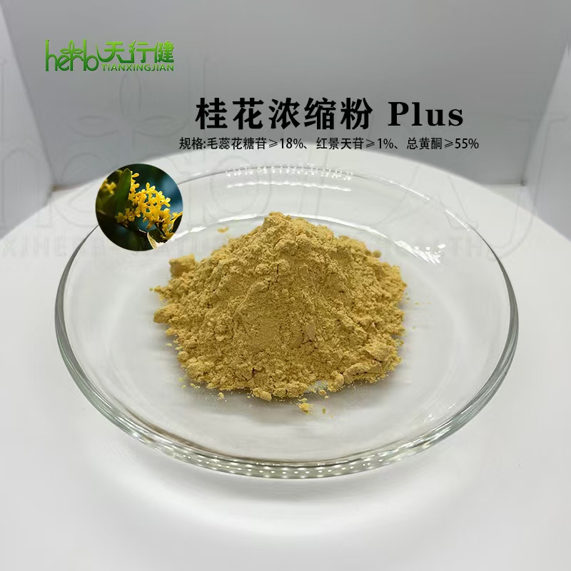 桂花浓缩粉Plus