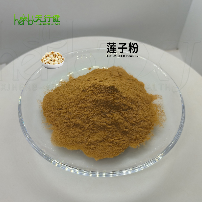 莲子提取物/莲子粉